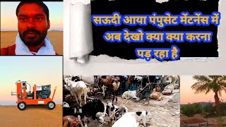 मजरा में क्या काम होता है || मजरा में काम कैसे होता है || सऊदी में खेती कैसे होती है || Saudi majra