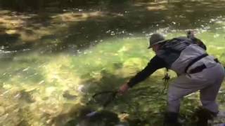 Swift River Brown Trout with Ken Elmer