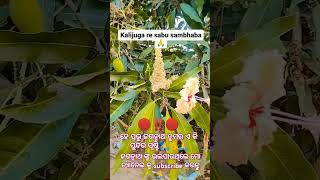 ଏ କଳିଯୁଗରେ ଶବୁ ସମ୍ବବ #jayjagannath #puri #purijagannadh #viralvideo #bhajan🙏#ranjankumar#nocopyright