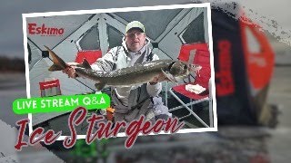 Sturgeon Ice Fishing LIVESTREAM Minnows vs Crawlers (Part 2)