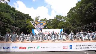 旅鳥【4K】／神宮会館ステージ／原宿表参道元氣祭スーパーよさこい 2024（2日目）