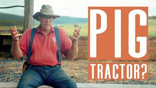 Can You Raise Pigs On Pasture With Pig Tractors?