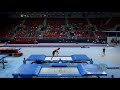 BABAYAN Amiran (UZB) - 2017 Trampoline Worlds, Sofia (BUL) - Qualification Trampoline Routine 1