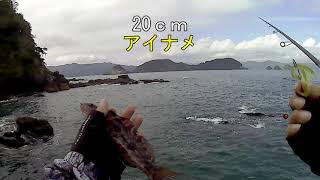 宮城石巻釣り磯ロック４二刀流‼