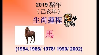 2019己亥年(豬年) - 肖馬運勢  - (想看更多影片記得訂閱)