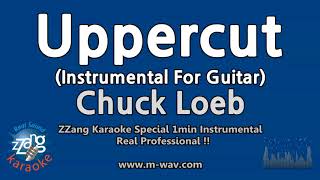 Chuck Loeb-Uppercut (For Guitar) (1 Minute Instrumental) [ZZang KARAOKE]