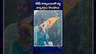 TDP Leaders Celebrations IN TDP Office | టీడీపీ కార్యాలయంలో వద్ద కార్యకర్తలు కొలహాలం | ZEE News