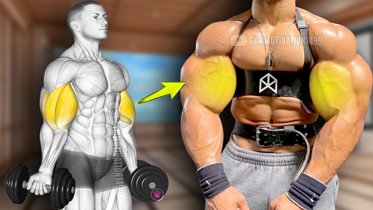 Fastest Effective Biceps Exercises Youtube
