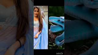 All nagin actress vs snake 🐍🐍 || whatsapp status || serial video || #shortvideo #shorts #status