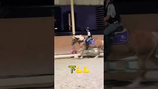 障礙系列～基礎訓練（5）步距調整💪💪 #Horse #楊宏宇教練 #格林馬術中心