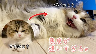 飼い主によって露骨に態度を変える猫がこちらですw