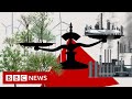 Can carbon offsetting help the planet? - BBC News