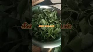 50 ரூபாய் செலவில் https://www.youtube.com/@Sibivlog-e8j லஞ்ச் மெனு ரெடி.