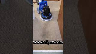 Crazy Tar Removal from Carpet with VLM. Will it come clean #viralshort #SaigersEncap #Cleaning #vlm