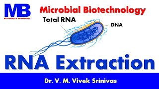 RNA Extraction | Biotechnology | Vivek Srinivas | #Molecularbiology #RNAextraction #RNAisolation