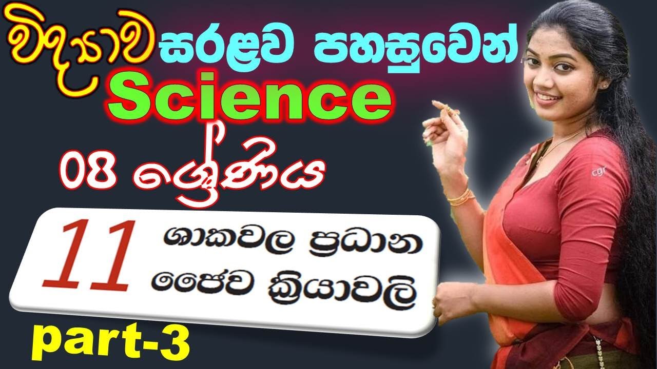 Grade 8 Science Book Sinhala Medium