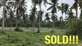 Vlog330: 5.6 HECTARE FARM LOT WITH MOUNTAIN VIEW FOR SALE IN LIPA CITY PHILIPPINES |SOLD