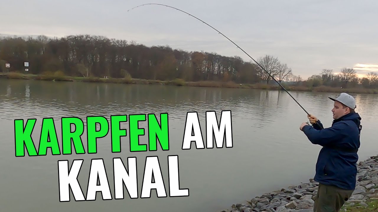 Gezielt Auf Karpfen Am Kanal || Angeln Am Dortmund-Ems-Kanal ...