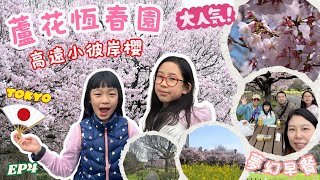 【童遊東京】日本樱花之旅🌸親子自駕遊 EP4 蘆花恆春園｜高遠小彼岸櫻人氣景點｜靚到要去2次？｜夢幻早餐