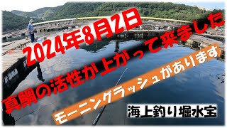 8月2日一般コーナー7人の乗り合い釣行です。梅雨明けと同時に猛暑日の連続で鯛の喰いが落ちてましたが。活性が戻りつつあります。