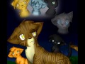 squirrelflight brambleclaw and ashfur what hurts the most