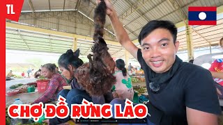 Chợ thú rừng tại Lào | Du lịch ẩm thực Lào