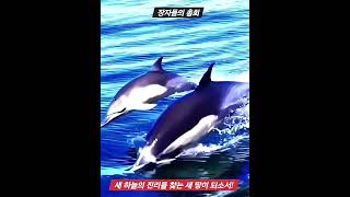 ★ 당신은 새 하늘의 진리로 비를 맞는 새 땅이 되소서