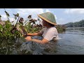 Survival and cooking !! Mengolah Pisang bakar dan tumis enceng gondok di hutan