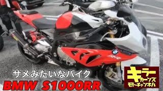 【BMW 1000RR】サメみないなバンくんのバイク試乗してみた。