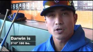 Darwin Barney Asian American Sports