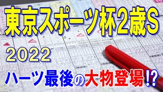 東京スポーツ杯２歳ステークス【2022予想】１強で相手探しのレース‼