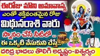 మిధున రాశి వారు మౌని అమావాస్య రోజున స్నానం చేసే నీటిలో ఇది వేస్తే| Mithuna Rashi January 2025 Telugu