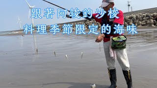 夏末秋初釣沙梭  料理季節限定的海味