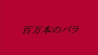 加藤登紀子　　百万本のバラ　~cover