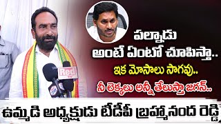 Macherla TDP MLA Candidate Julakanti Brahmananda Reddy About AP 2024 Election | Red Tv Telugu