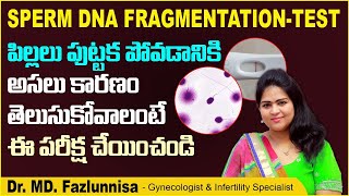 వీర్యకణాల పరీక్ష | Sperm DNA Fragmentation Test | Causes Of Miscarriages In Telugu | Hira Fertility