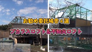 お勧め委託鳩舎。八郷国際鳩舎、つくば国際鳩舎、伊賀国際鳩舎、ｲﾝﾀｰﾅｼｮﾅﾙﾛﾌﾄ。日本鳩レース協会千葉南連盟木更津連合会。プカラスロフト＆不知火ロフト。