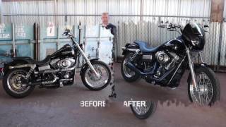 Monkey Sport Bars for a Dyna
