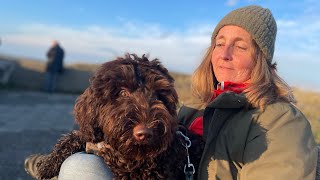 Hundeurlaub auf Texel 2023 spass mit Hundeschule Alex Angrick