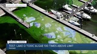 Toxic algae found at Pahokee Marina, bringing fear to business owners