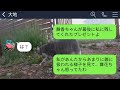 【line】妹の葬式を結婚式と勘違いして女と旅行に行くため欠席するクズ夫「出張だし式は嫁のお前が出てくれw」→浮かれて帰国した夫が真実を知った時の反応がwww