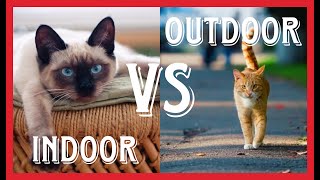 Indoor VS Outdoor (+ Feral ) Cats