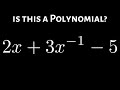 An Example of something that is Not a Polynomial