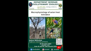 Andrew McKechnie: Macrophysiology of avian heat tolerance