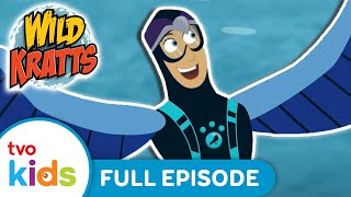 Wild Kratts - The Other Martins - Season 4 Full Episode