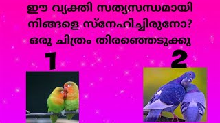 ഈ വ്യക്തി സത്യസന്ധമായി നിങ്ങളെ സ്നേഹിച്ചിരുനോ?ഒരു ചിത്രം തിരഞ്ഞെടുക്കു|TAROT LOVE ENERGIES