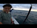 落とし込みサビキで青物爆釣！！根魚の釣果は？！【淡路島釣り船 三幸丸 釣果vlog】