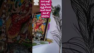 #నెమలి కన్ను, ఈక తో ఇలా చేస్తే ఏం జరుగుతుంది#shorts#viralvideo#