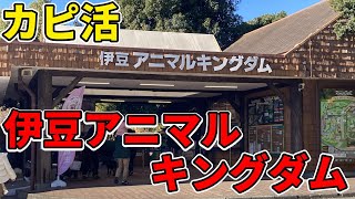 【カピ活】伊豆アニマルキングダム