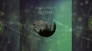 Organic Patterns - Biome (2022 Remaster) [Full Album]